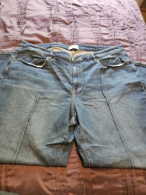 Lane Bryant Relaxed Fit Women's Denim Jeans in Blue